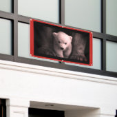 BANNER MET BEREN WELP (Buitenkant Gebouw)