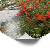 Banner Peak Wildbloemen - Ansel Adams Wilderness Foto Afdruk (Hoek)