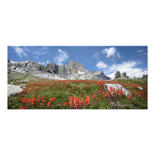 Banner Peak Wildbloemen - Ansel Adams Wilderness Foto Afdruk (Voorkant)