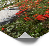 Banner Peak Wildbloemen - Ansel Adams Wilderness Poster (Hoek)