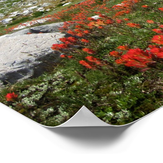 Banner Peak Wildbloemen - Ansel Adams Wilderness Poster (Hoek)