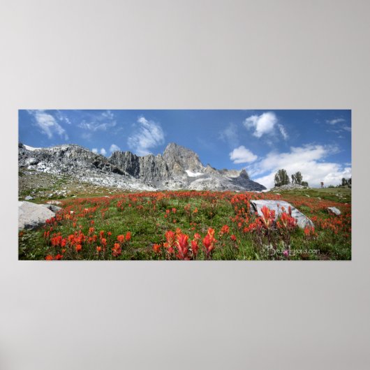 Banner Peak Wildbloemen - Ansel Adams Wilderness Poster (Voorkant)