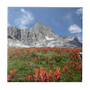 Banner Peak Wildbloemen - Ansel Adams Wilderness Tegeltje