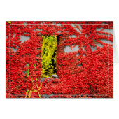 Bannerman's raam (Voorkant Horizontaal)