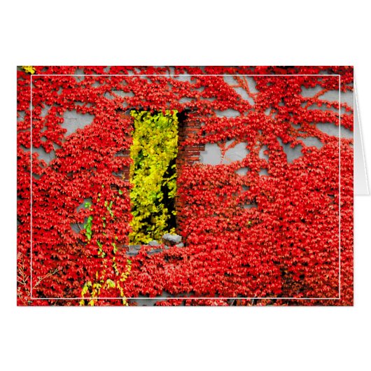 Bannerman's raam (Voorkant Horizontaal)