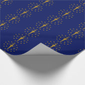 Bannerpatroon van Indiana Cadeaupapier (Hoek)