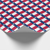 Bannerpatroon van Texas Cadeaupapier (Hoek)