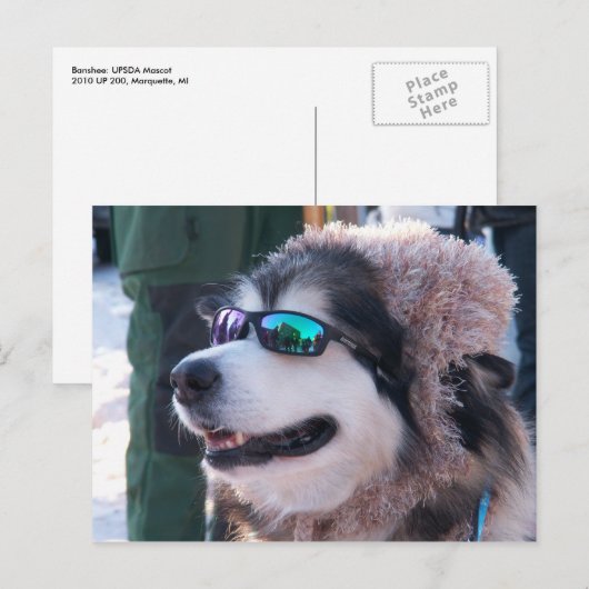 Banshee Briefkaart (Voorkant / Achterkant)