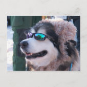 Banshee Briefkaart (Voorkant)