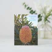 Banskia flower Western Australië Briefkaart (Staand voorkant)