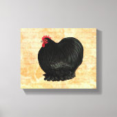 Bantam Cochin Rooster Canvas Afdruk (Voorkant)