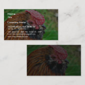 Bantam Hen Animal Visitekaartje (Voorkant / Achterkant)