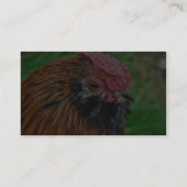 Bantam Hen Animal Visitekaartje (Achterkant)