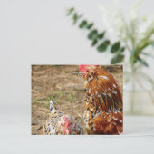 Bantam Hen en Rooster Briefkaart (Staand voorkant)