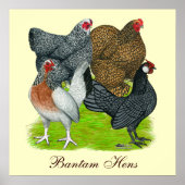 Bantam Hen Kwartet, Bantam Hens Poster (Voorkant)