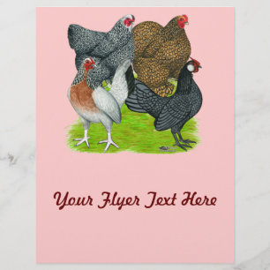 Bantam Hen Quartet Flyer