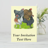 Bantam Hen Quartet Kaart (Staand voorkant)