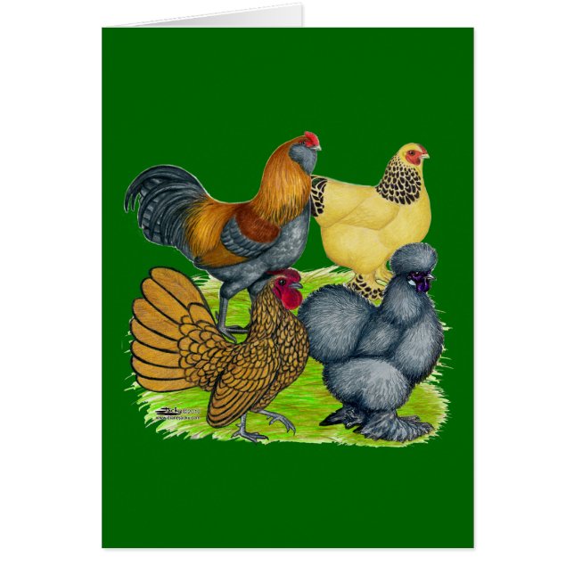 Bantam Quartet (Voorkant)