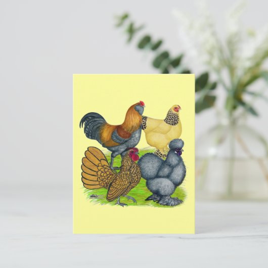 Bantam Quartet Briefkaart (Staand voorkant)