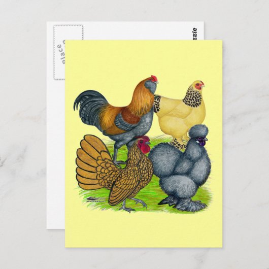 Bantam Quartet Briefkaart (Voorkant / Achterkant)