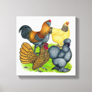Bantam Quartet Canvas Afdruk