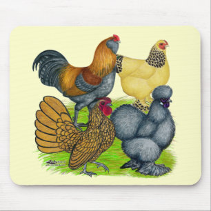 Bantam Quartet Muismat