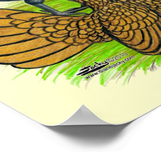 Bantam Quartet Poster (Hoek)