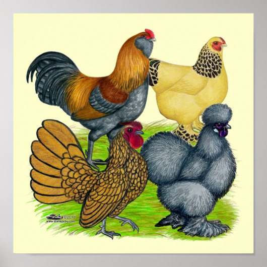 Bantam Quartet Poster (Voorkant)