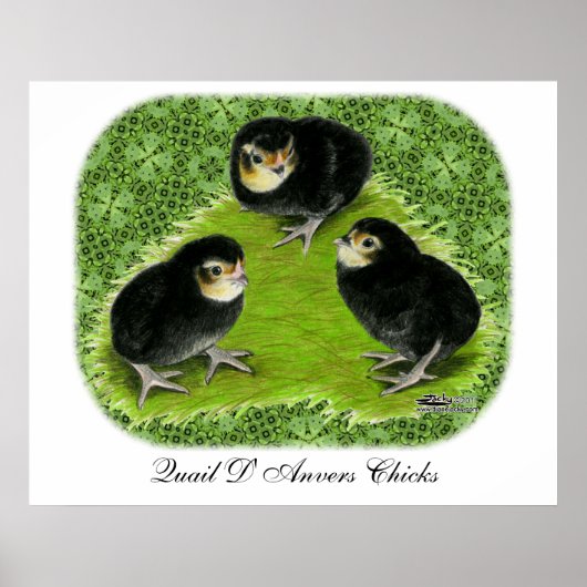 Bantamkuikens in de tuin poster (Voorkant)