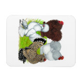 Bantammers met bevederde poten magneet (Horizontaal)