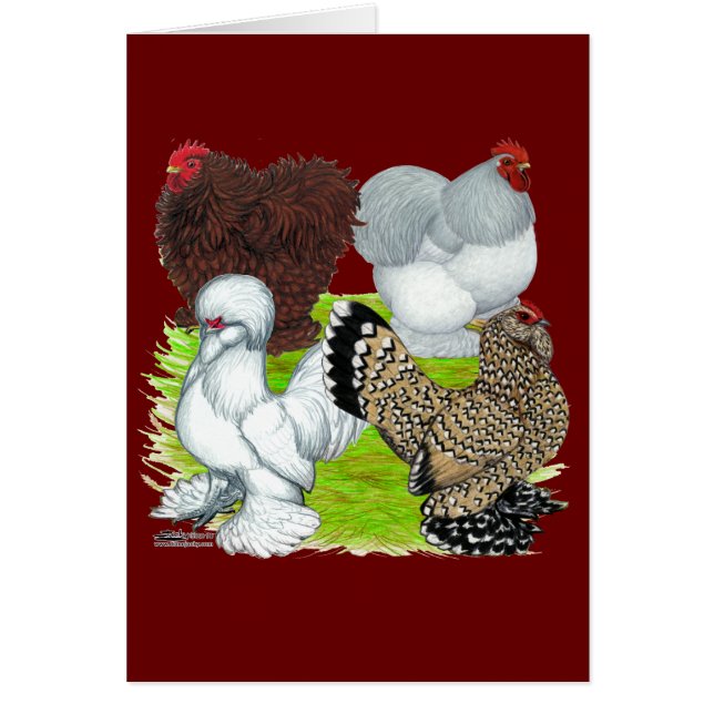 Bantams Feather Legged (Voorkant)