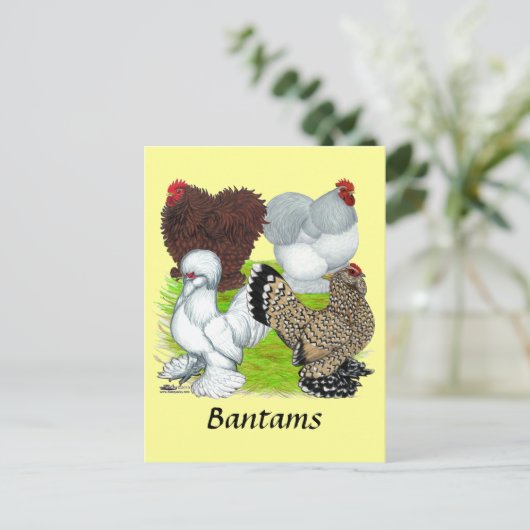 Bantams Feather Legged Briefkaart (Staand voorkant)