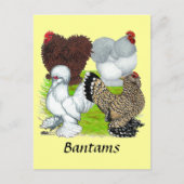 Bantams Feather Legged Briefkaart (Voorkant)