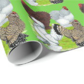 Bantams Feather Legged Cadeaupapier (Rol Hoek)