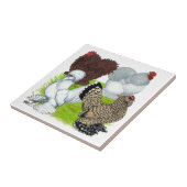 Bantams Feather Legged Tegeltje (Zijkant)