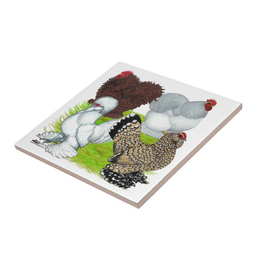 Bantams Feather Legged Tegeltje (Zijkant)