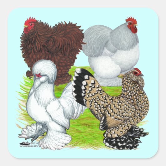 Bantams Feather Legged Vierkante Sticker (Voorkant)