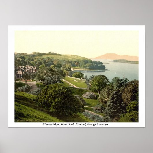 Bantry Bay, Cork, 19e eeuw, Ierland print (Voorkant)