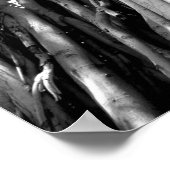 Banyan Poster (Hoek)