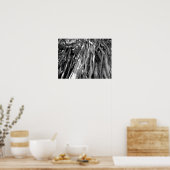 Banyan Poster (Keuken)