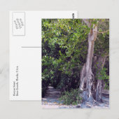 Banyan Street Briefkaart (Voorkant / Achterkant)