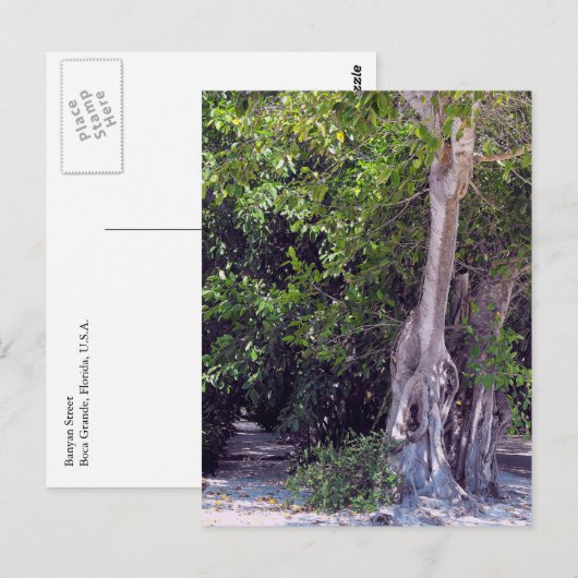 Banyan Street Briefkaart (Voorkant / Achterkant)