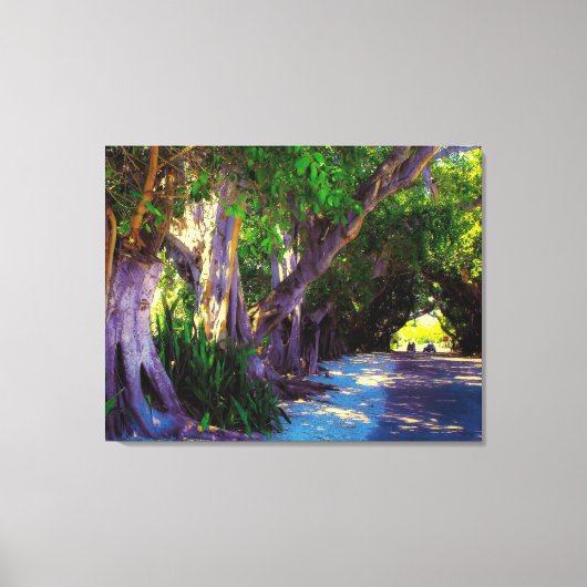 Banyan Street Canvas Afdruk (Voorkant)