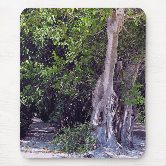 Banyan Street Mousepad Muismat (Voorkant)