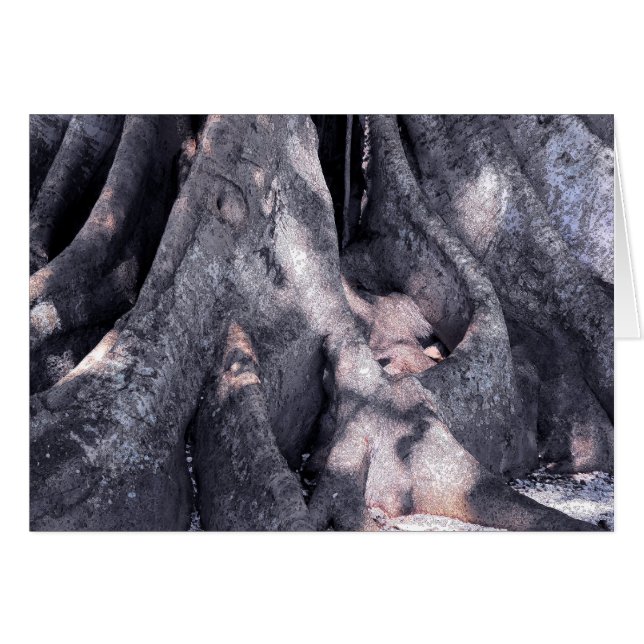 Banyan Tree (Voorkant Horizontaal)