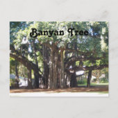 Banyan Tree Briefkaart (Voorkant)