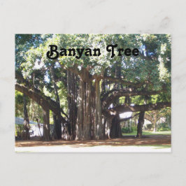 Banyan Tree Briefkaart