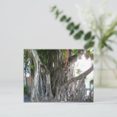Banyan Tree Briefkaart (Staand voorkant)