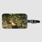 Banyan Tree Canopy Sunstar Bagagelabel (Voorkant (horizontaal))