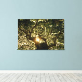 Banyan Tree Canopy Sunstar Canvas Afdruk (Insitu (Houten vloer))